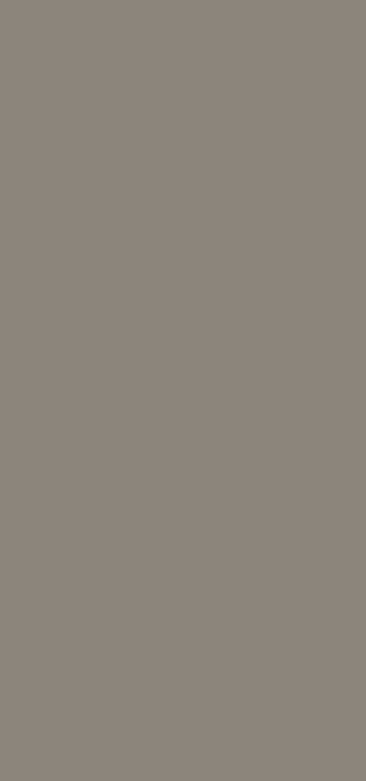 17 Taupe